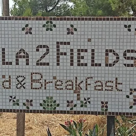 2 Fields Nocleg ze śniadaniem *