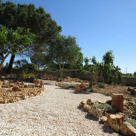 2 Fields 3* Castellaneta