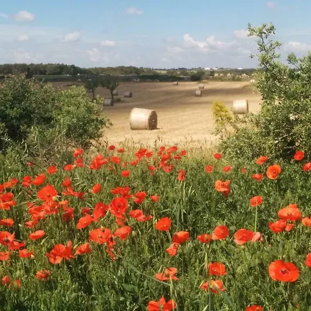 2 Fields Nocleg ze śniadaniem Castellaneta