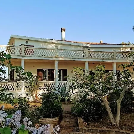 Bed & Breakfast 2 Fields