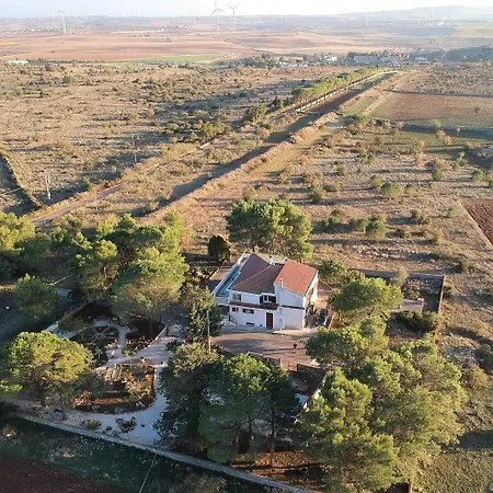 2 Fields