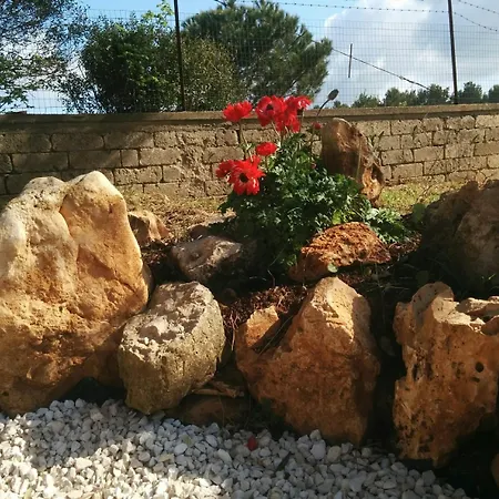 2 Fields Bed & Breakfast 3*