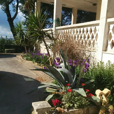 2 Fields Bed & Breakfast 3*