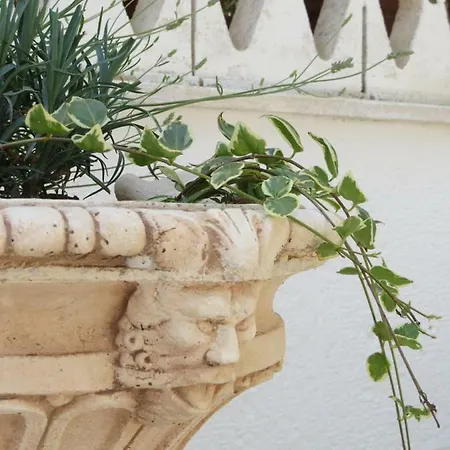 2 Fields Bed & Breakfast