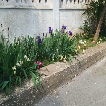 فندق مبيت وإفطار 2 Fields
