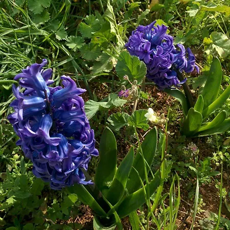 Bed & Breakfast 2 Fields 3*