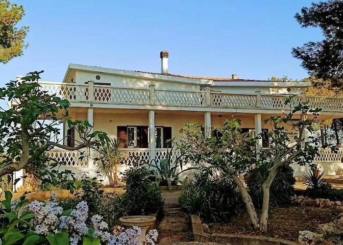 Bed & Breakfast 2 Fields