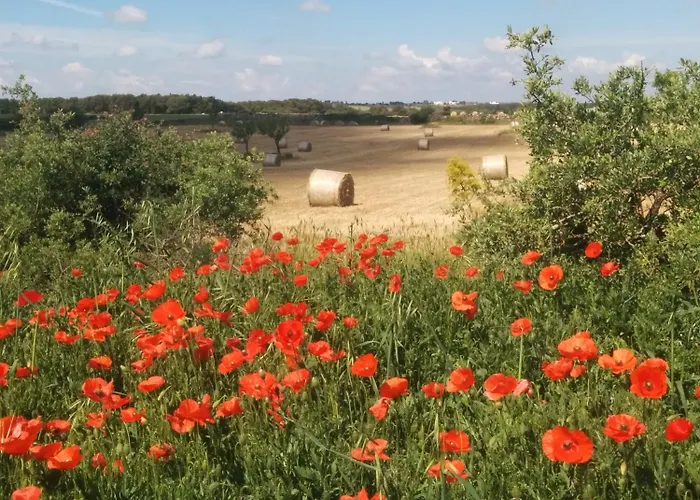 2 Fields Bed & Breakfast Castellaneta