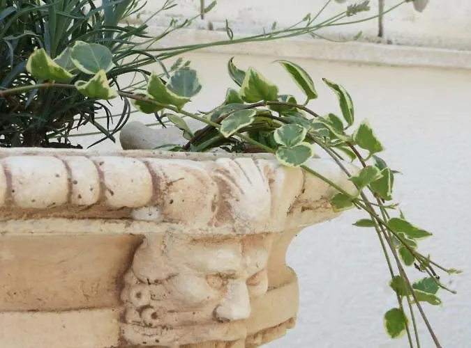 2 Fields Bed & Breakfast