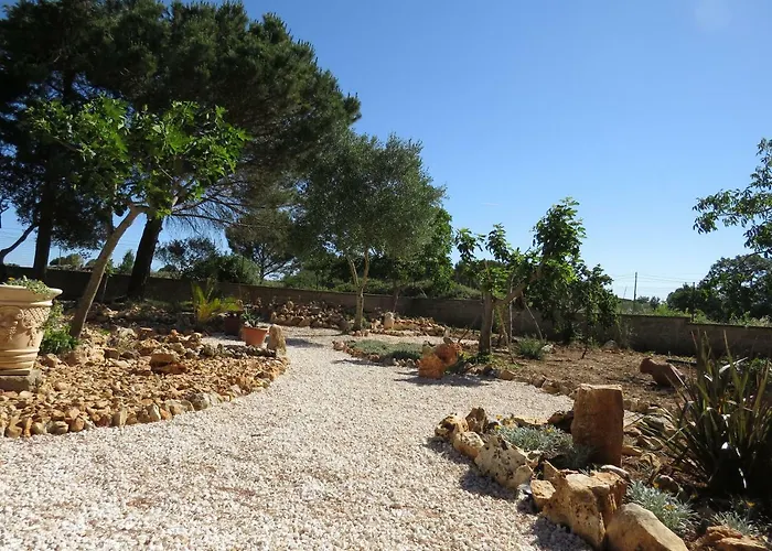 2 Fields 3* Castellaneta