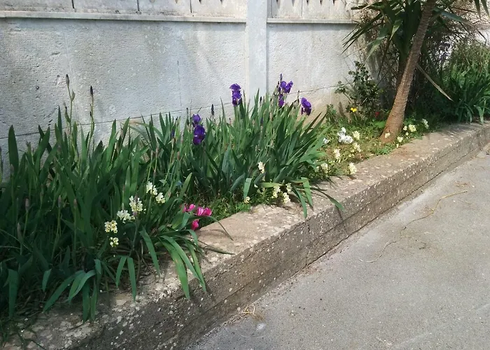 Bed & Breakfast 2 Fields