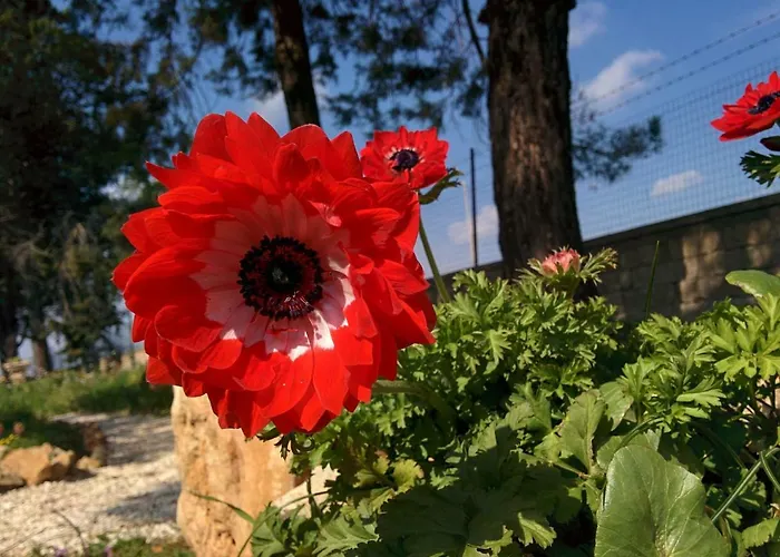 2 Fields Bed & Breakfast 3*